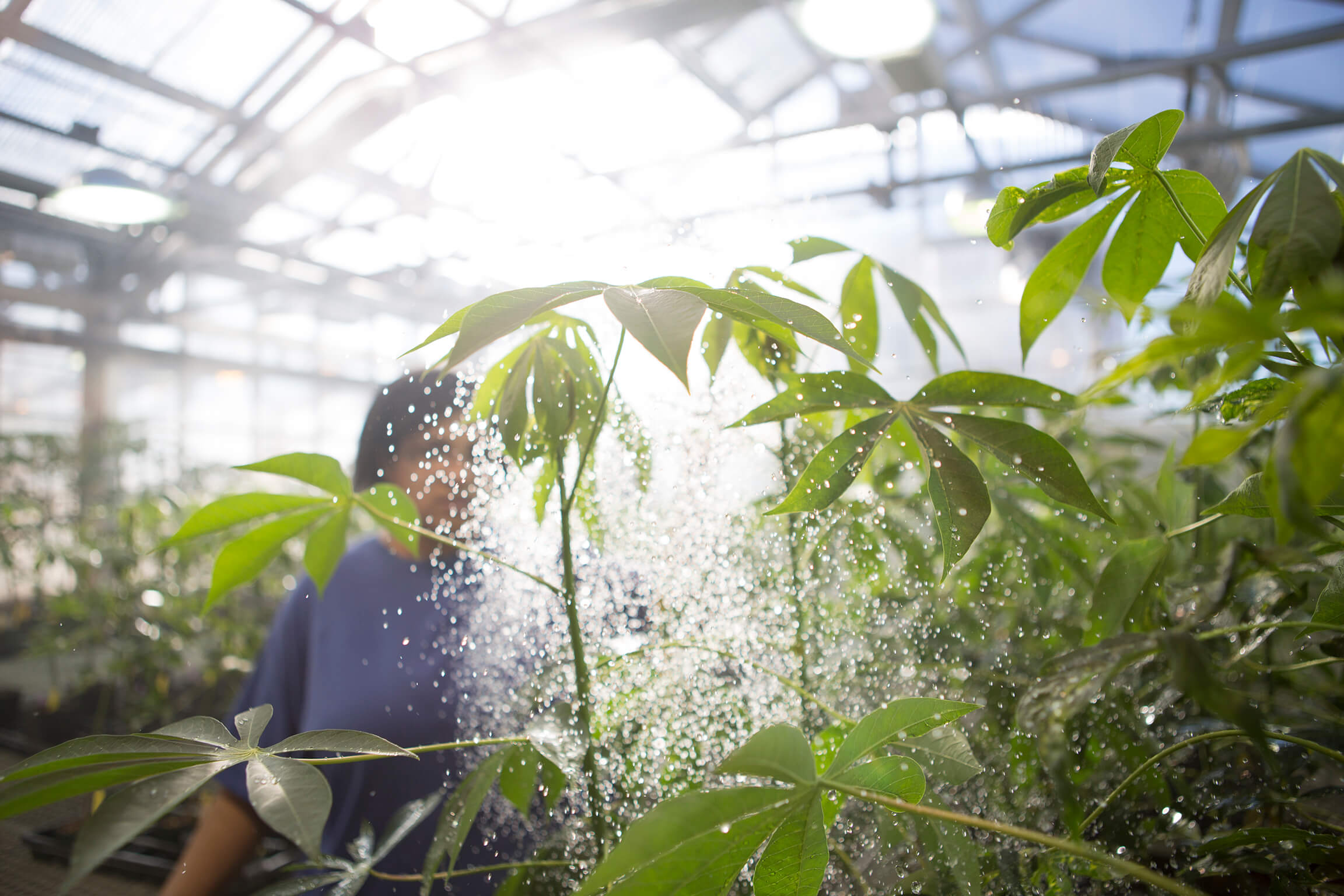 Five Challenges Facing the Global Agtech Industry in 2021